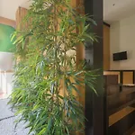 Soul Bed & Breakfast Neapel